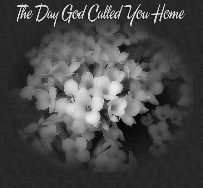 The Day Called You Home Pic