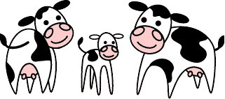 Cow Pic