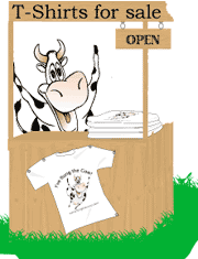 Cow Pic