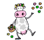 Cow Pic