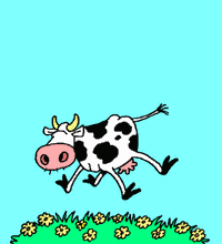 Cow Pic