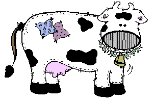 Cow Pic