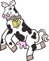 Cow Pic