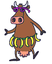 Cow Pic