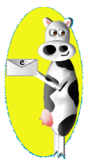 Cow Pic