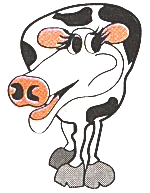Cow Pic