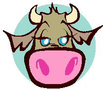 Cow Pic