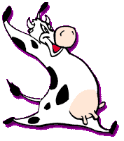 Cow Pic