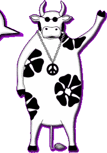 Cow Pic