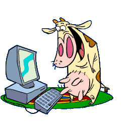 Cow Pic