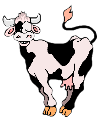 Cow Pic