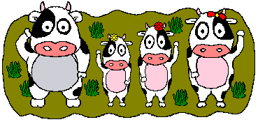 Cow Pic