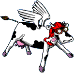 Cow Pic