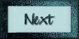 Next Page
