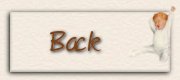 Back Button