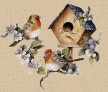 Bird Set