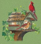 Bird Set