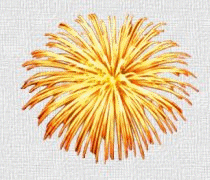 Animated Graphic