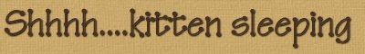 Text
