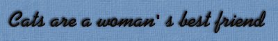 Text