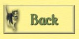 Back Button