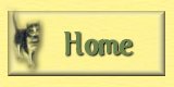 Home Button