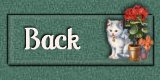 Back Button