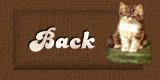 Back Button
