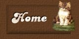Home Button