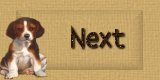 Next Page