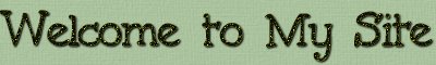 Text