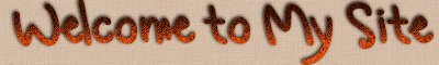 Text