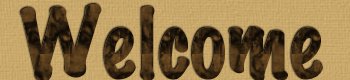 Welcome