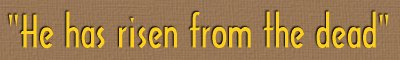Text
