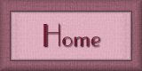 Home Button