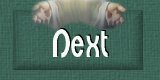 Next Button