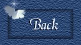 Back Button