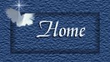 Home Button
