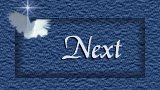 Next Button