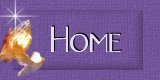 Home Button