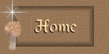 Home Button