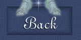 Back Button