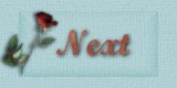 Next Page