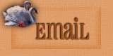 EMail Me