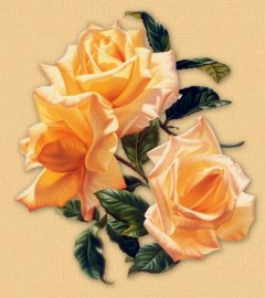 Flower Sets