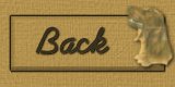 Back Button