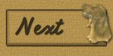 Next Button