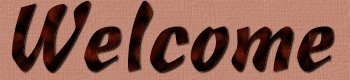 Welcome