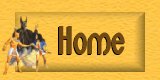 Home Button