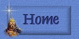 Home Button